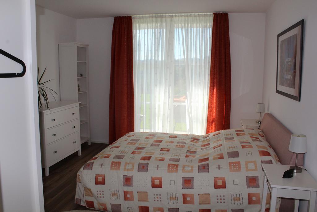Dreilaenderblick Apartment Lörrach Екстериор снимка