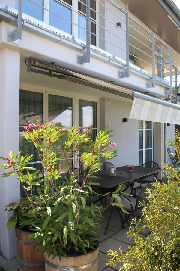 Dreilaenderblick Apartment Lörrach Екстериор снимка