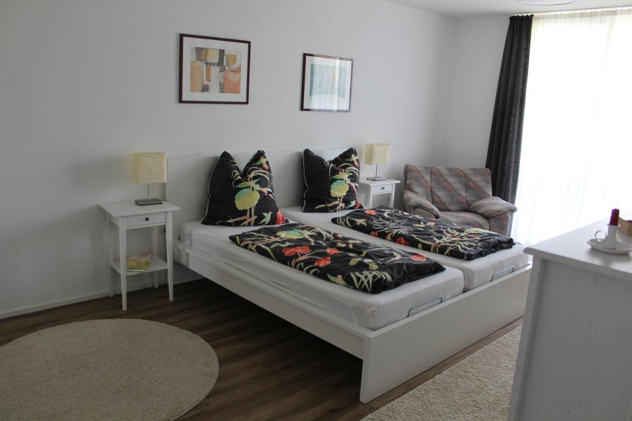Dreilaenderblick Apartment Lörrach Екстериор снимка